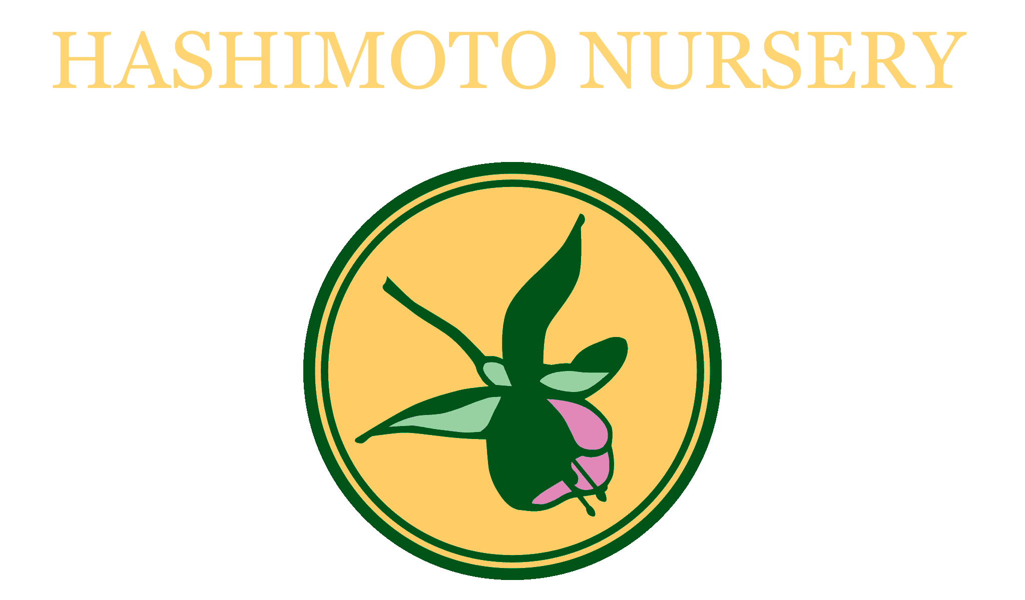 Hashimoto Nursery